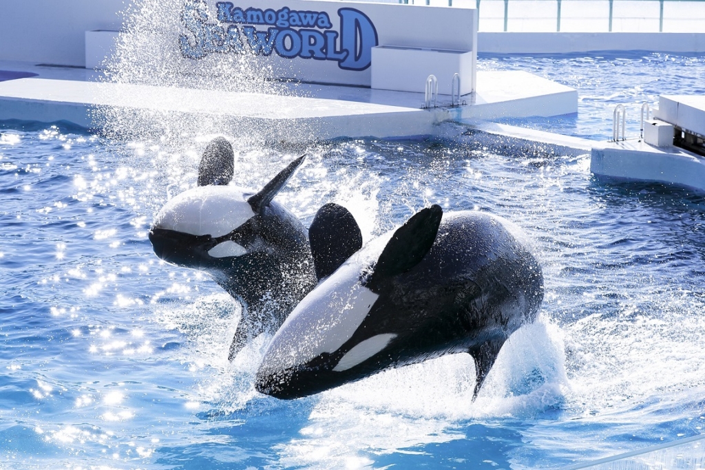 鴨川シーワールド